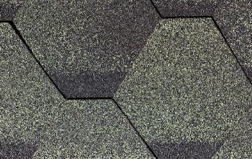 Lenton Abbey fibreglass shingle repairs