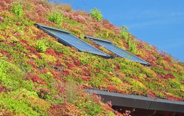Lenton Abbey living roof systems